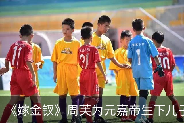 《嫁金钗》周芙为元嘉帝生下儿子，就是这位皇子，日后继承帝位