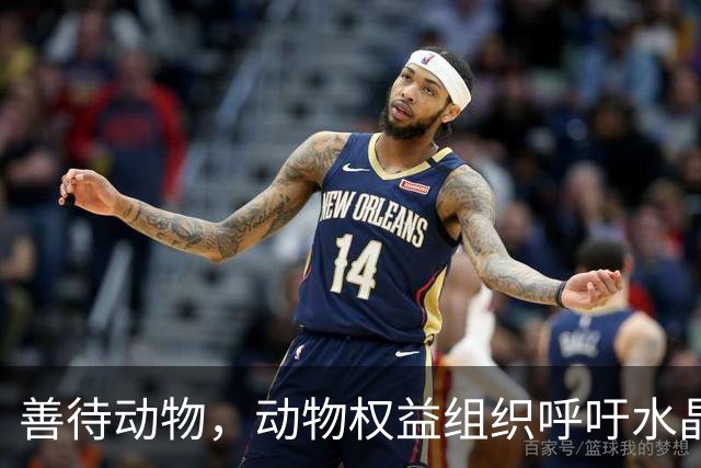 善待动物，动物权益组织呼吁水晶宫弃用活体吉祥物白头海雕凤凰